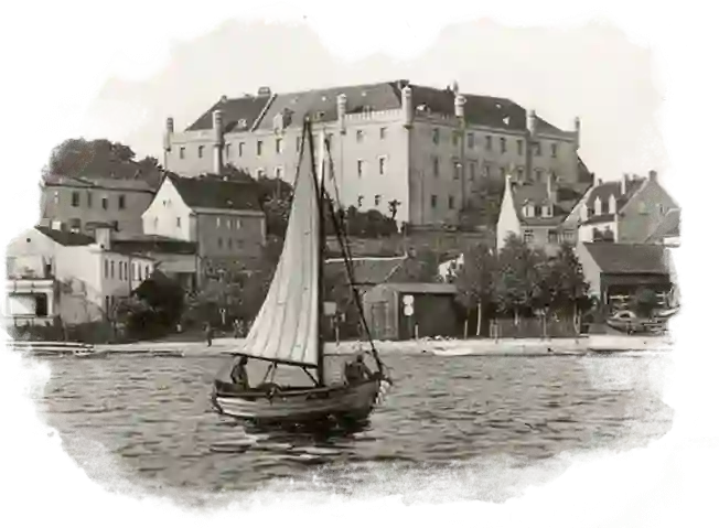 Zamek Ryn bird's eye view
